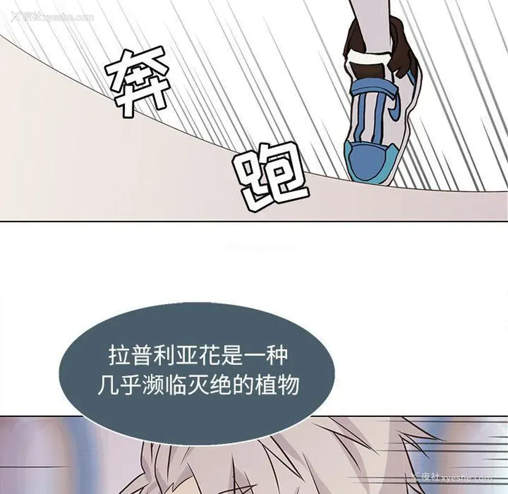 33P - 野性之城