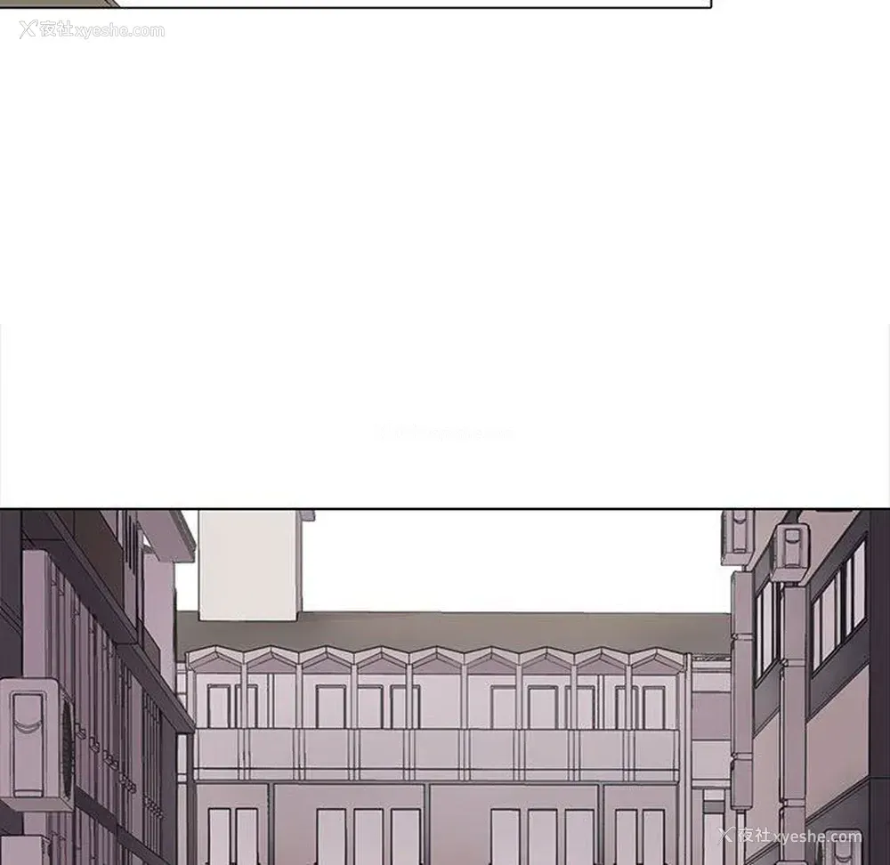 41P - 野性之城