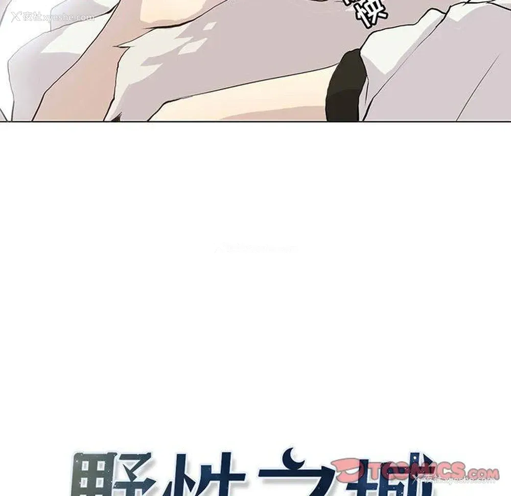 6P - 野性之城