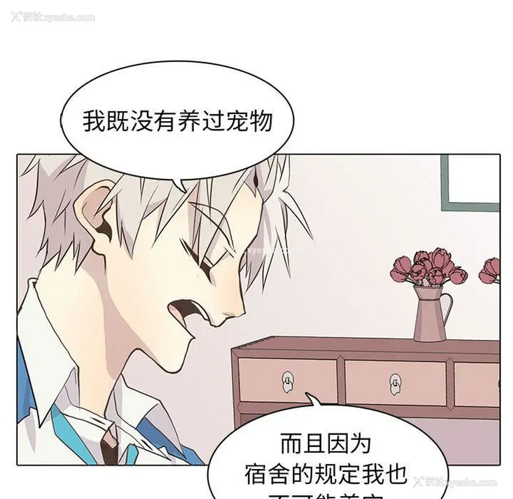 9P - 野性之城