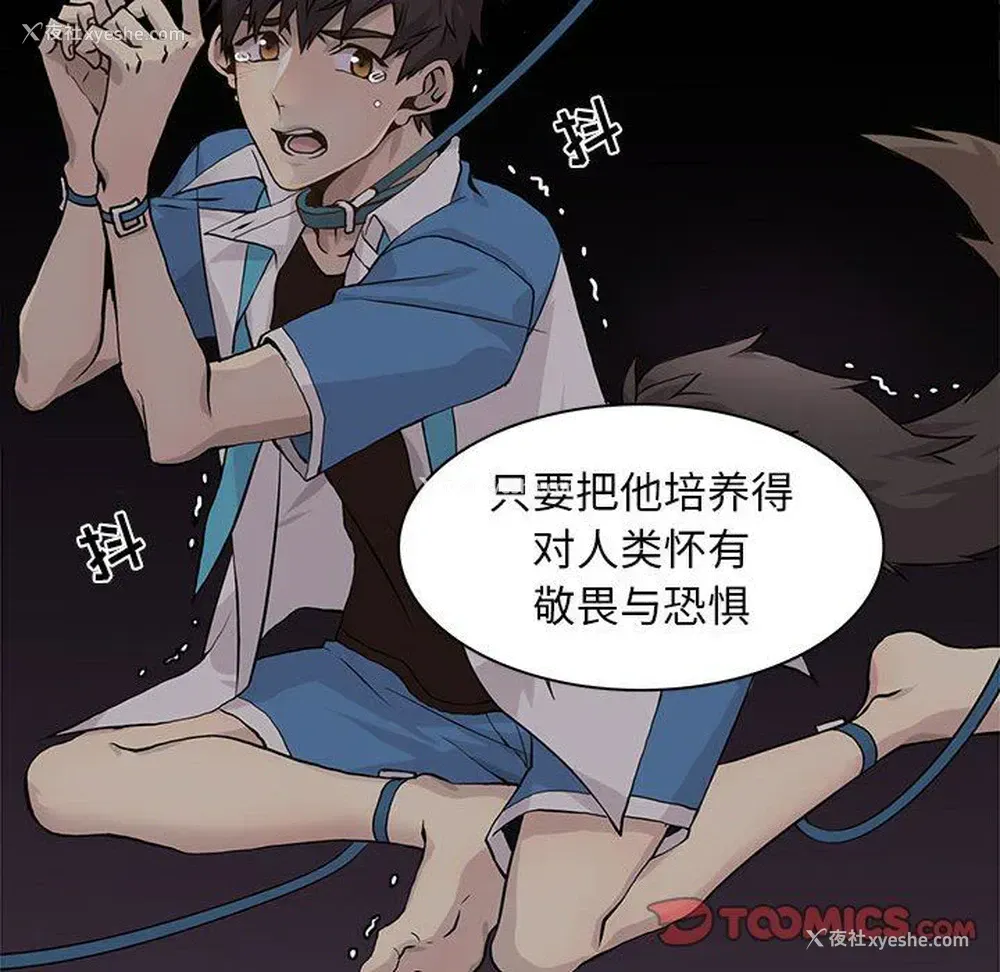 14P - 野性之城