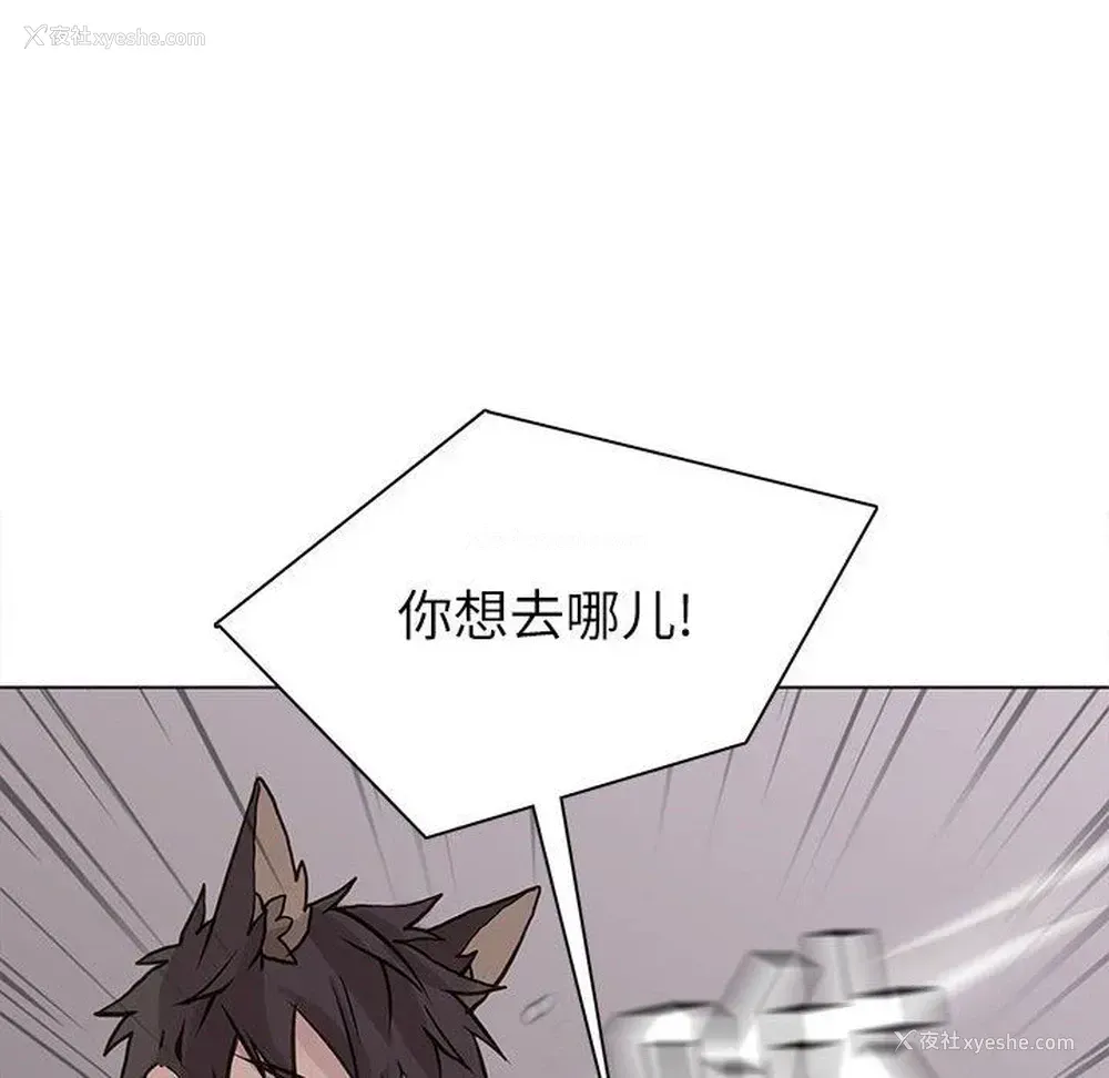 49P - 野性之城