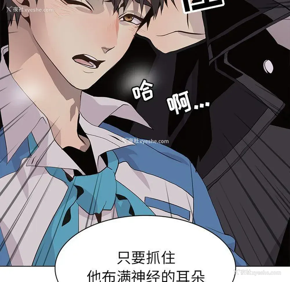 64P - 野性之城