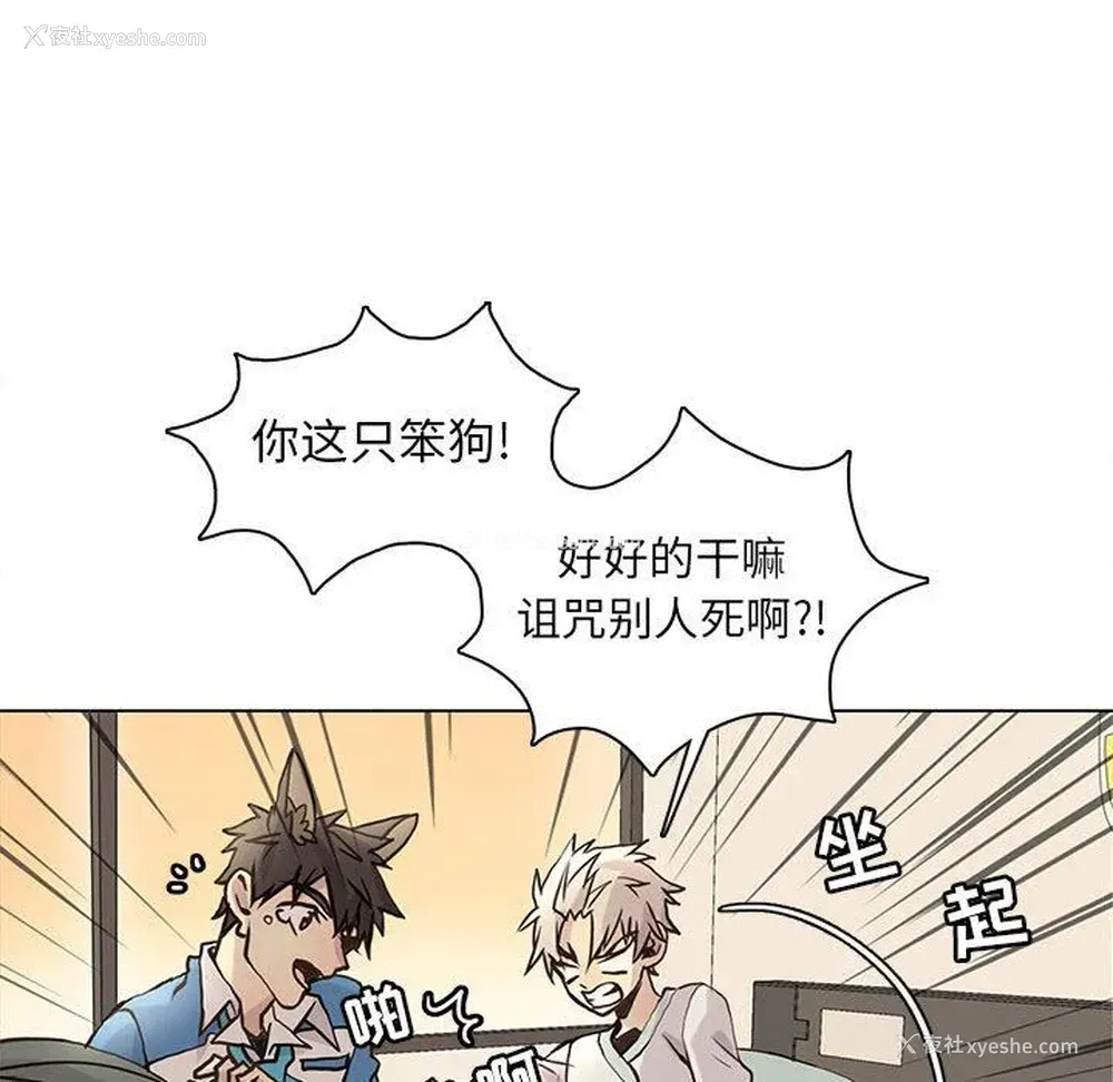 8P - 野性之城