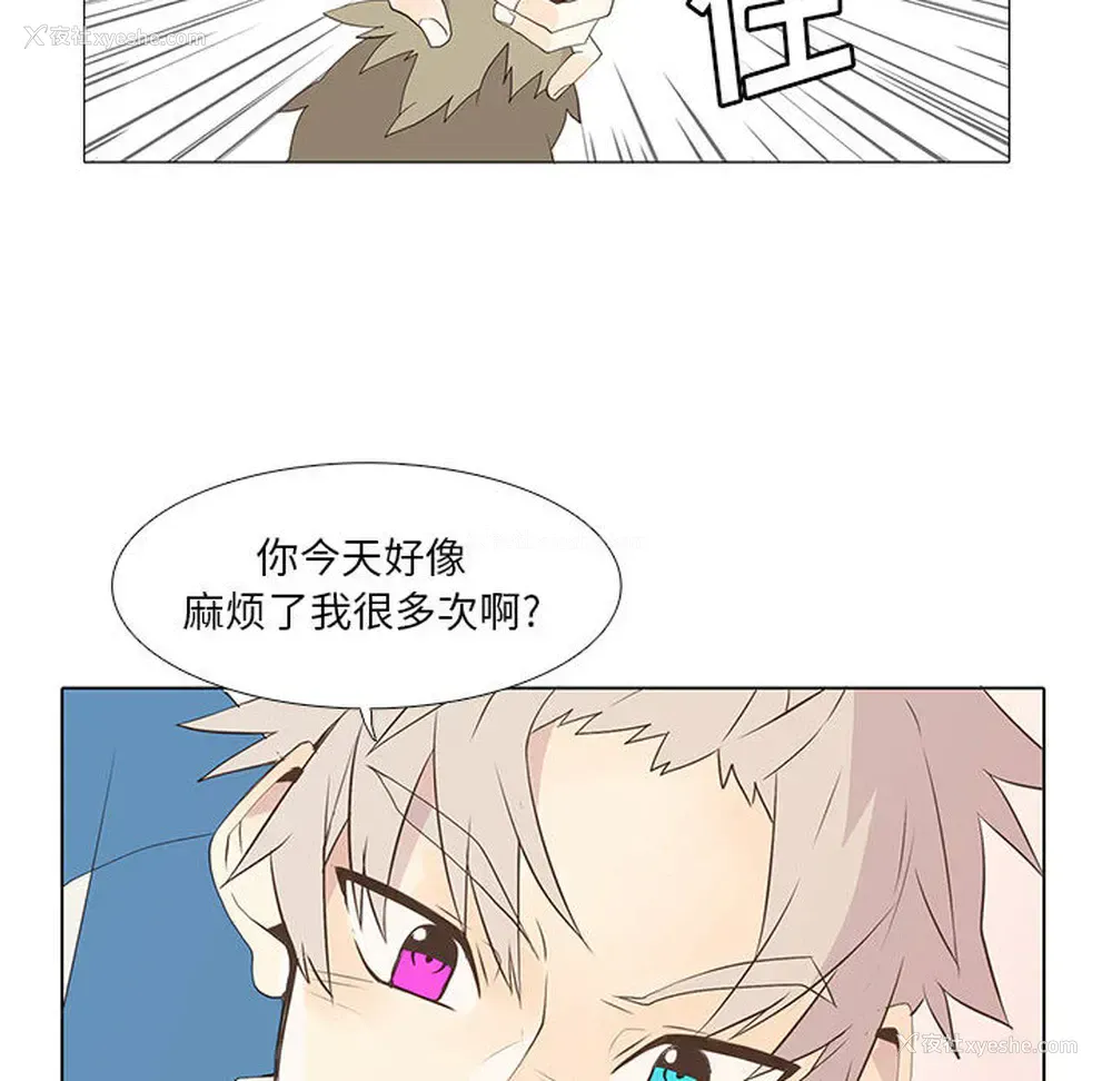 36P - 野性之城