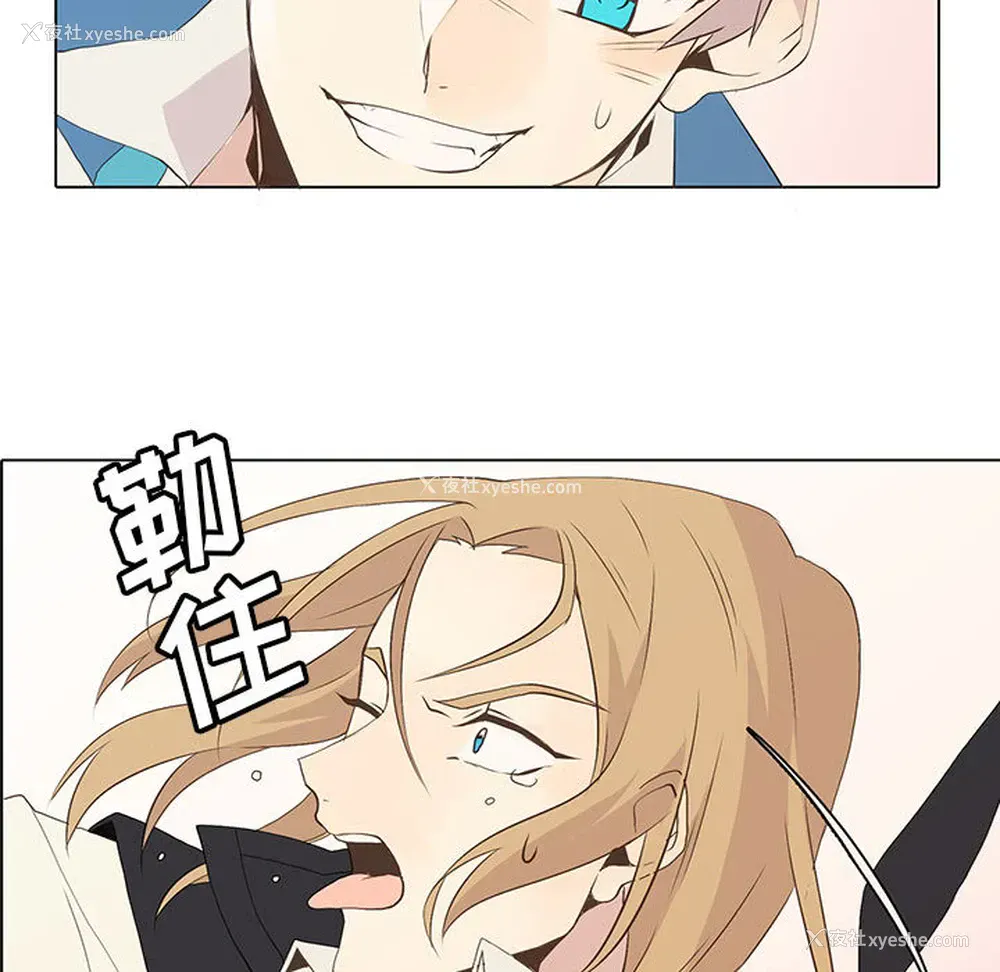 37P - 野性之城