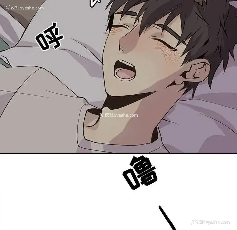 25P - 野性之城