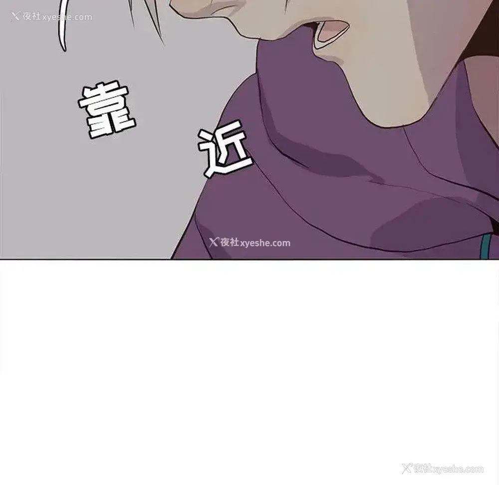 37P - 野性之城