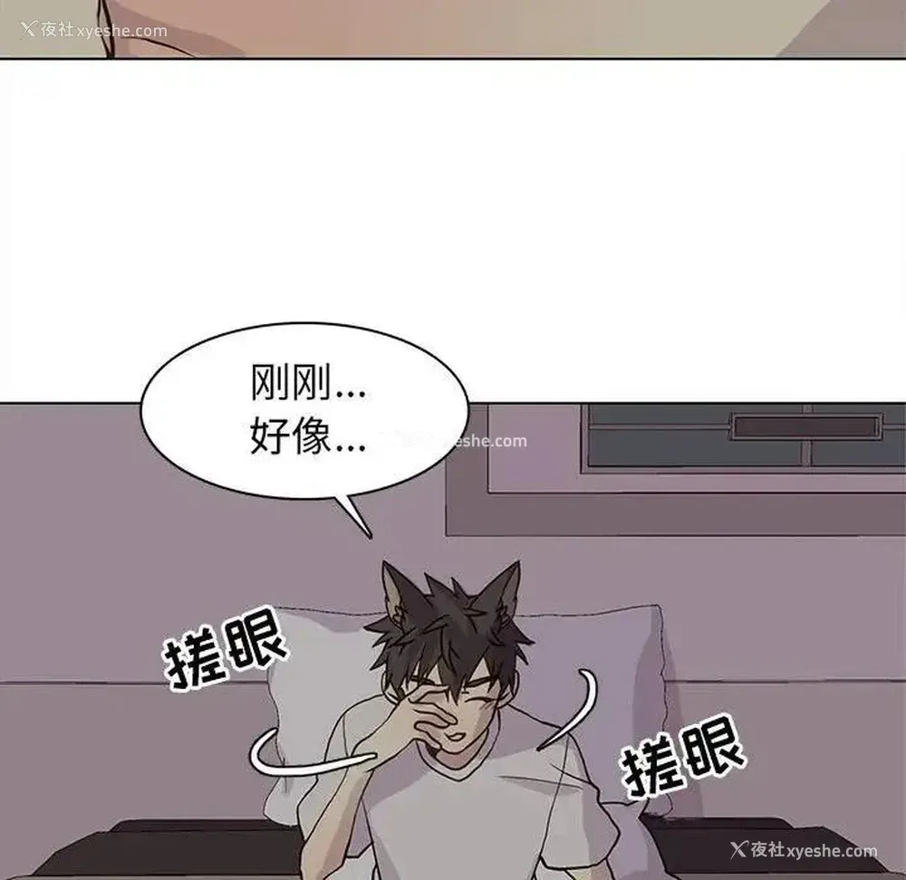 43P - 野性之城