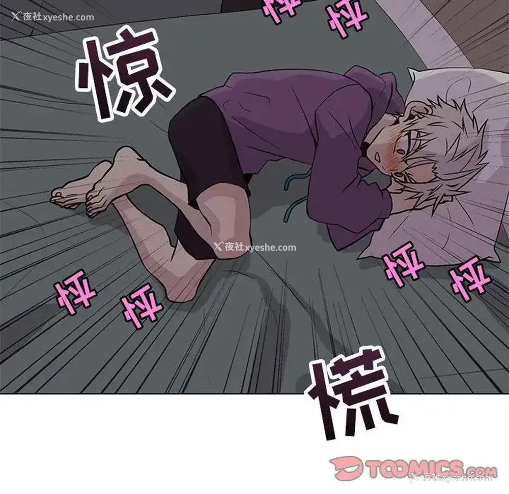 46P - 野性之城