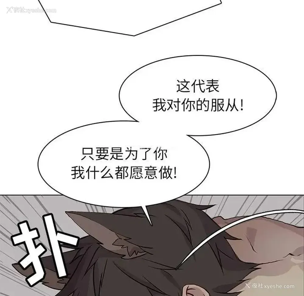 81P - 野性之城