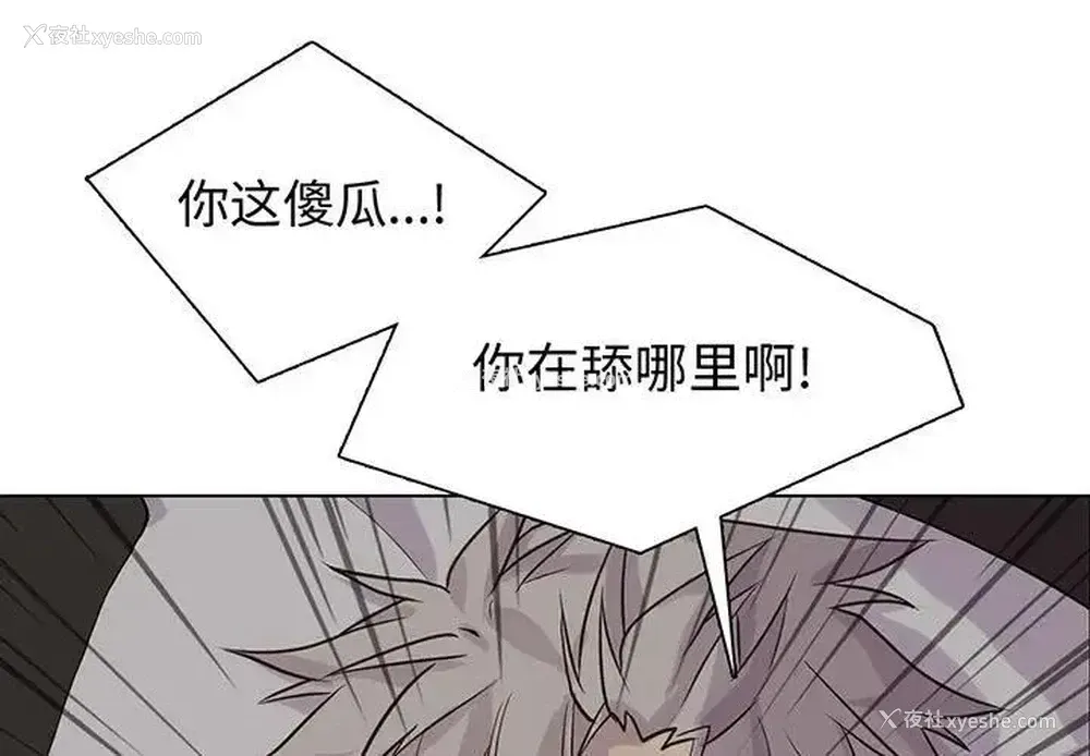 1P - 野性之城