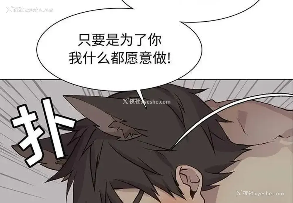 4P - 野性之城