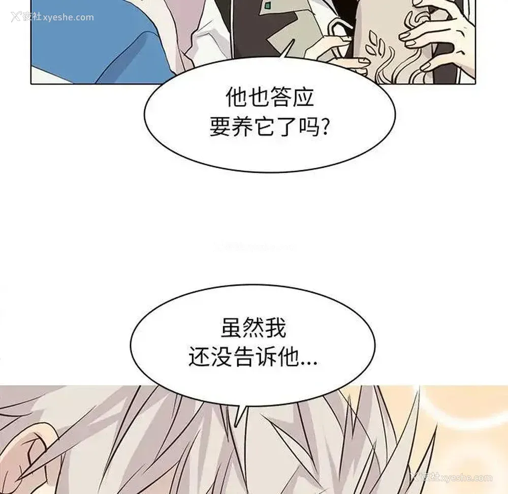 65P - 野性之城