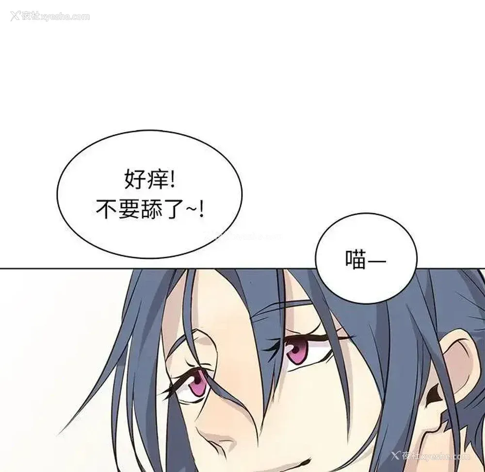 69P - 野性之城
