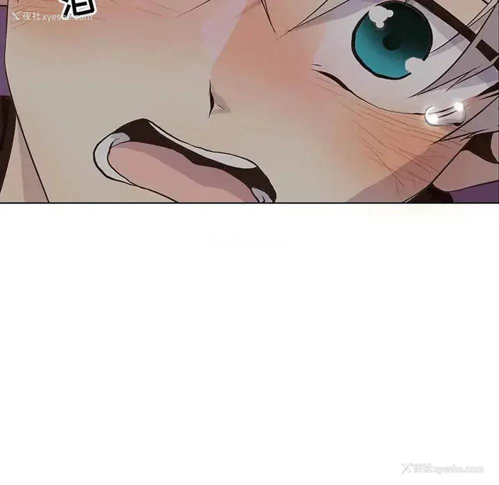 7P - 野性之城