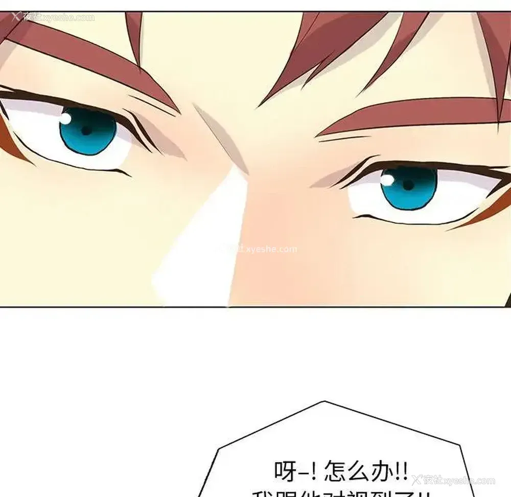 33P - 野性之城