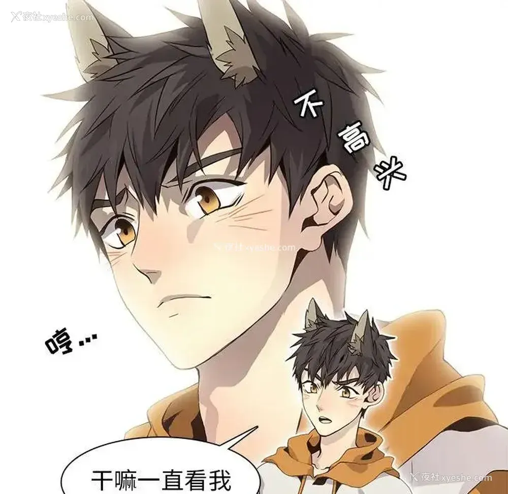 41P - 野性之城