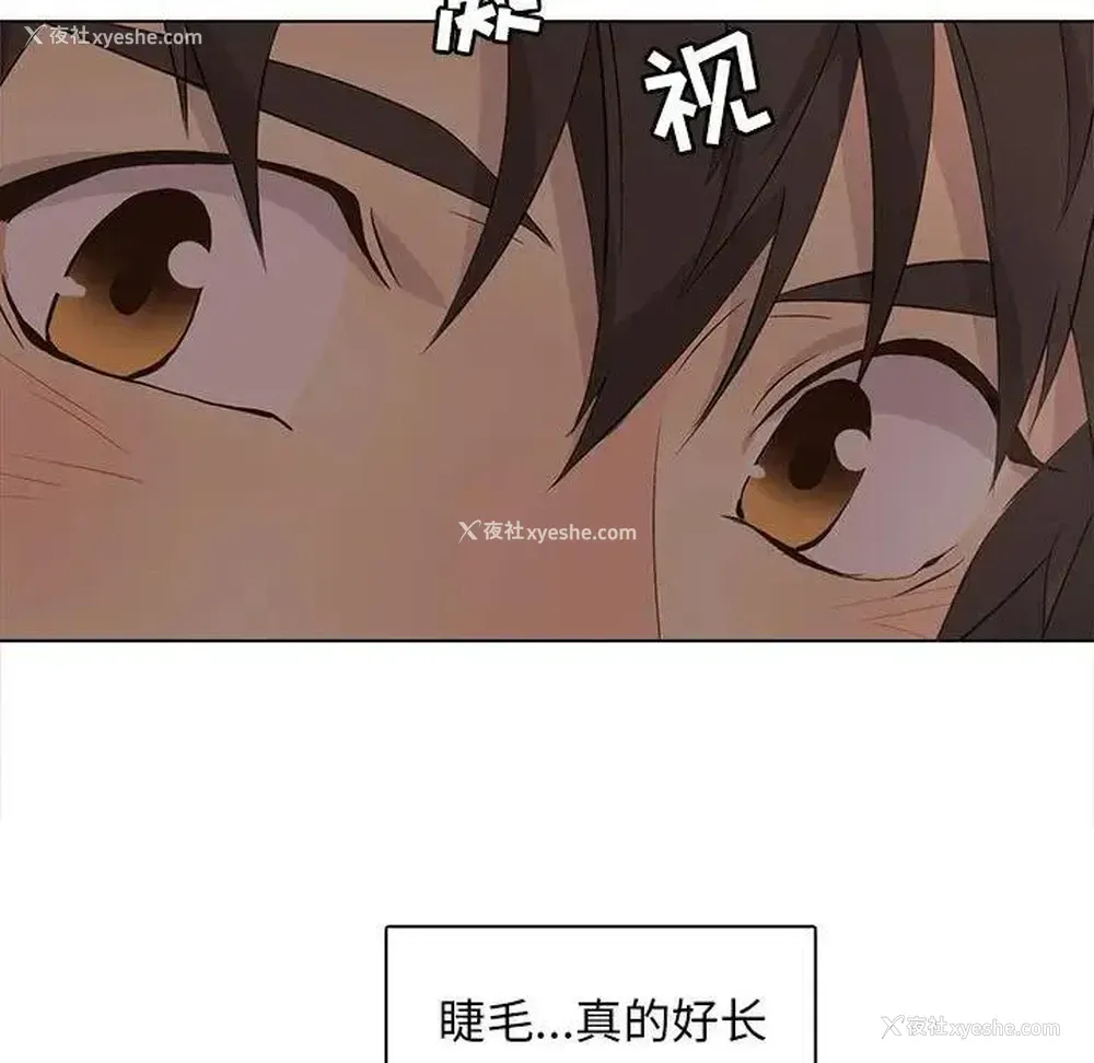11P - 野性之城