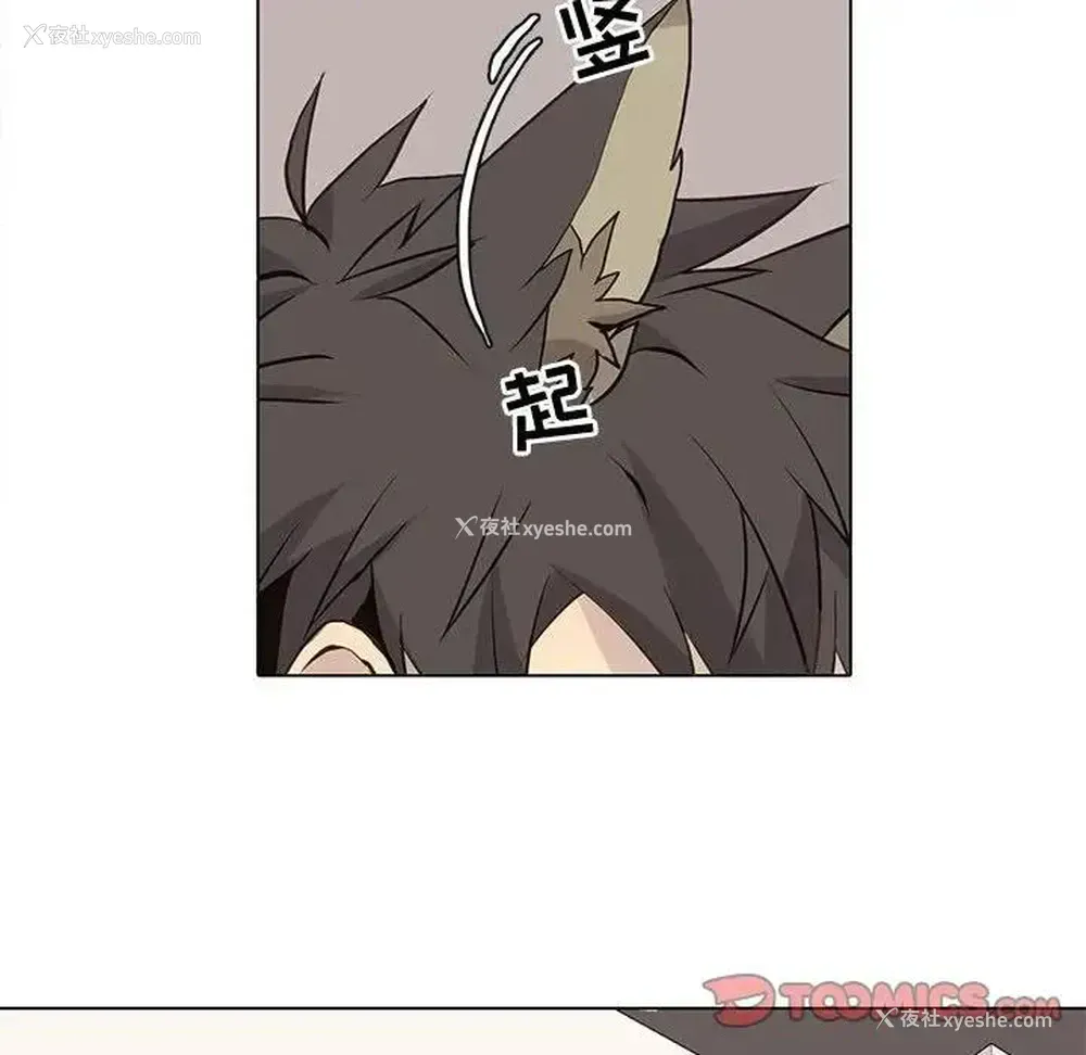 34P - 野性之城