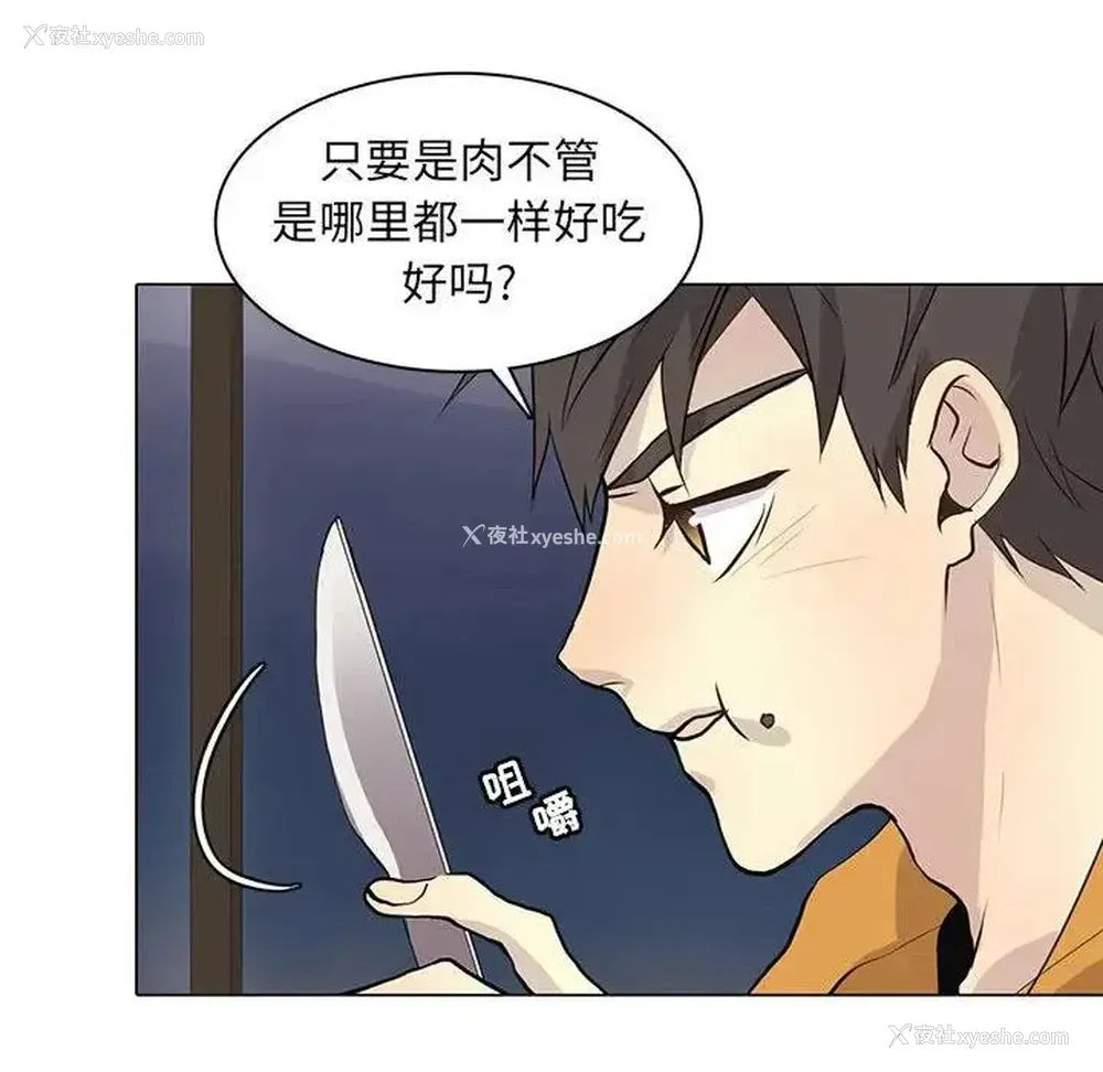 43P - 野性之城