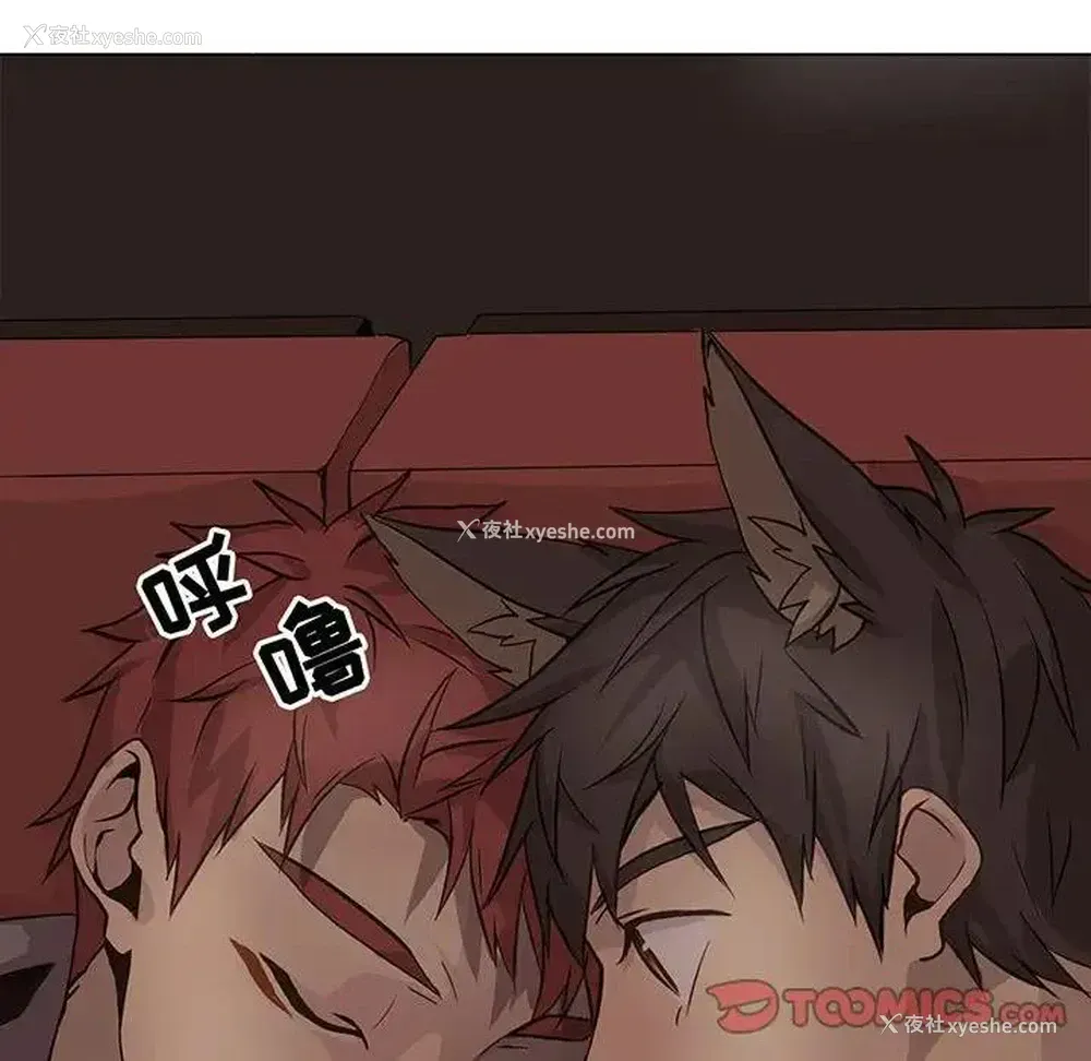 6P - 野性之城