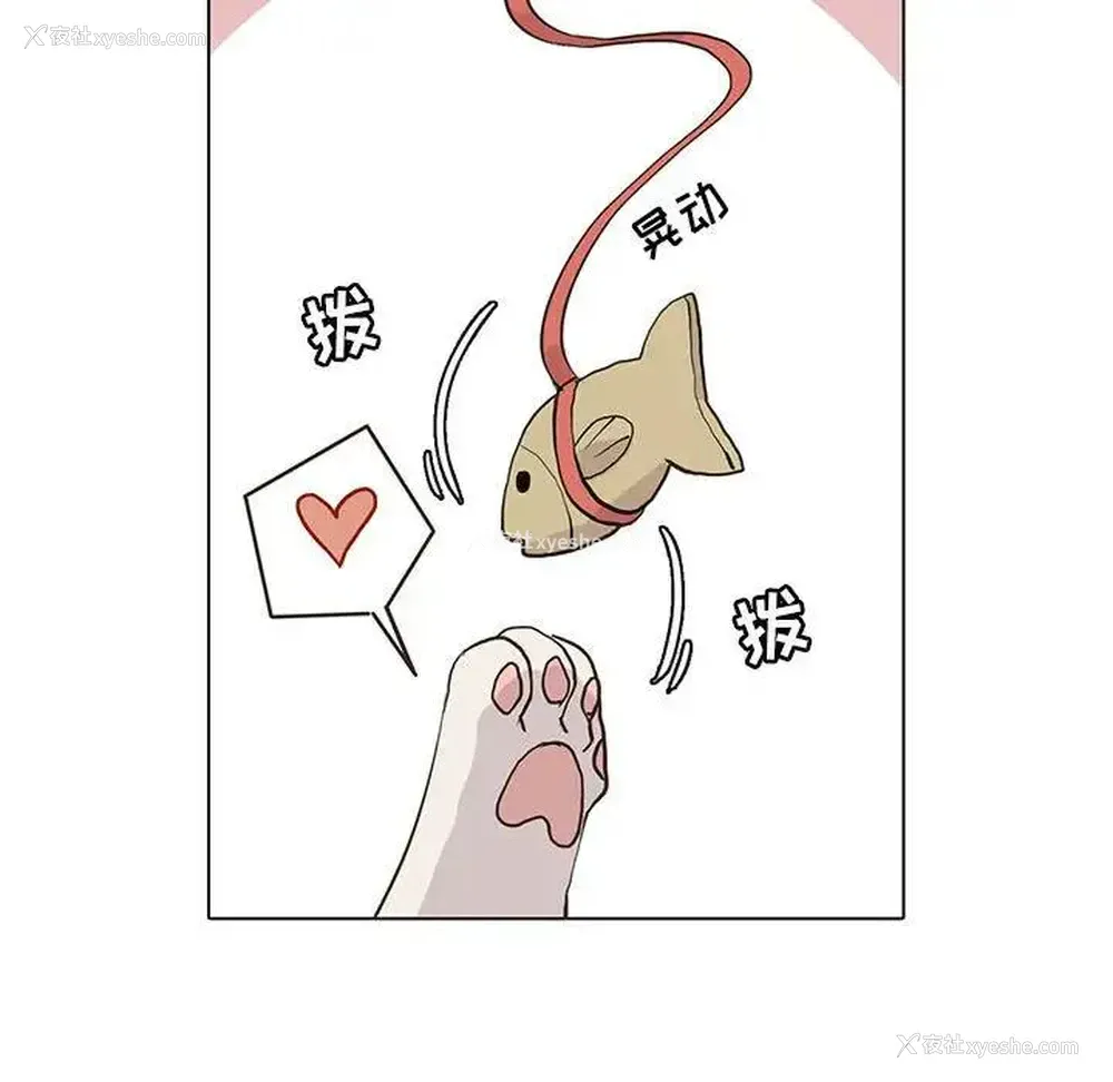 33P - 野性之城