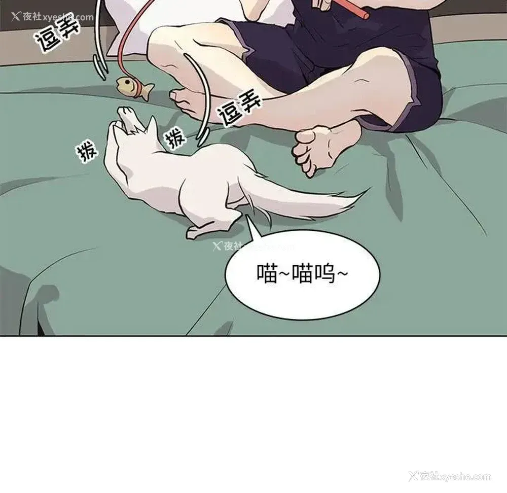 35P - 野性之城