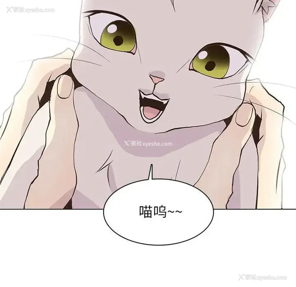 53P - 野性之城