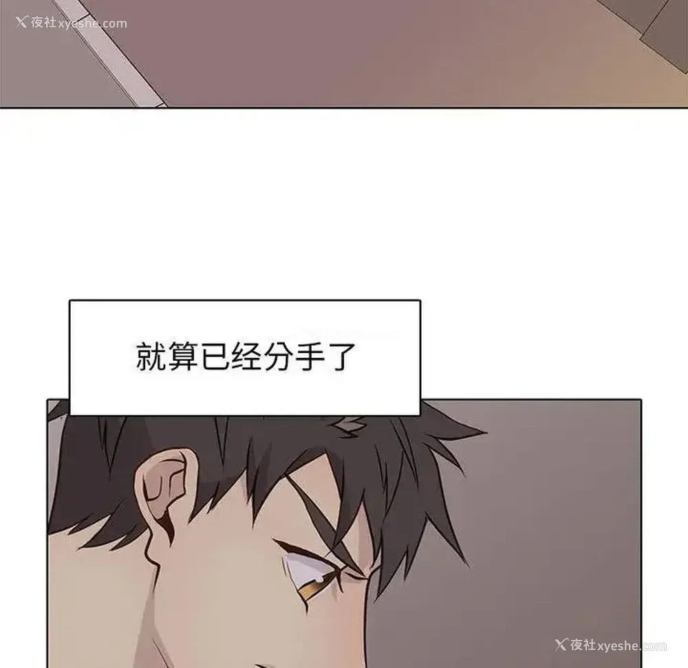 40P - 野性之城
