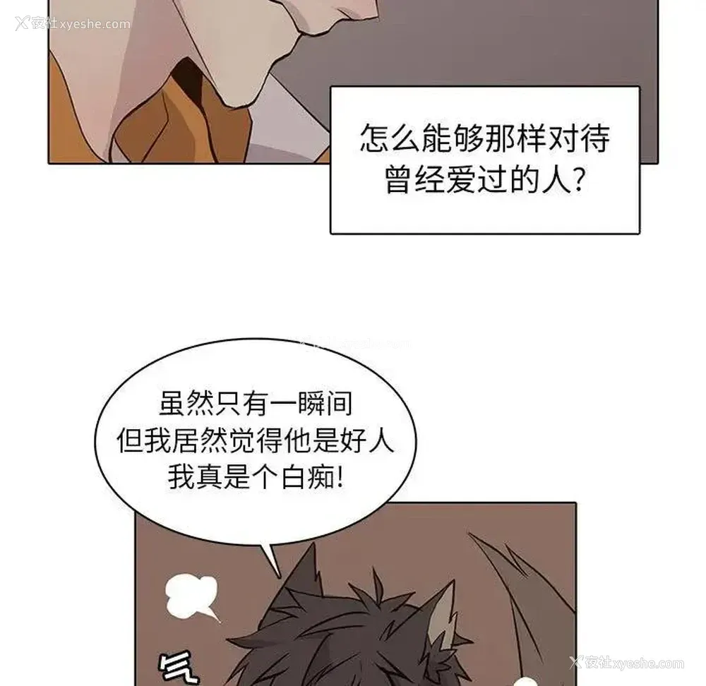 41P - 野性之城