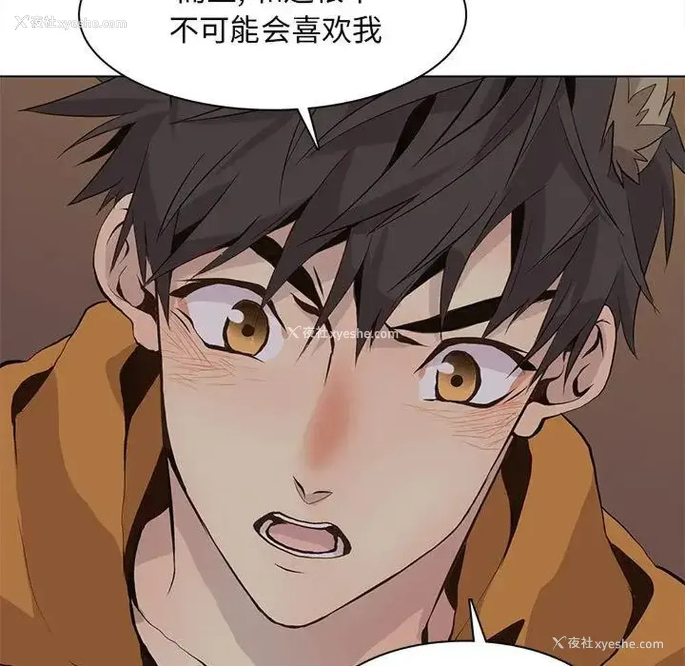43P - 野性之城