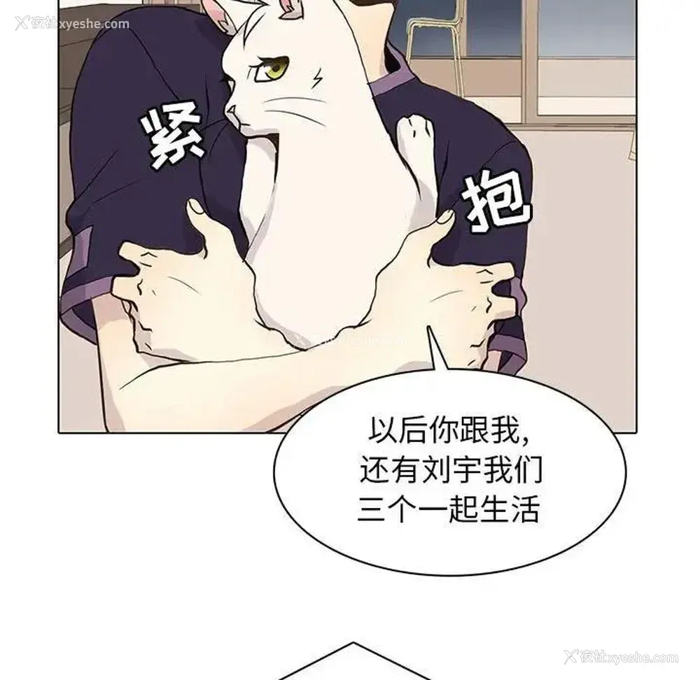 64P - 野性之城