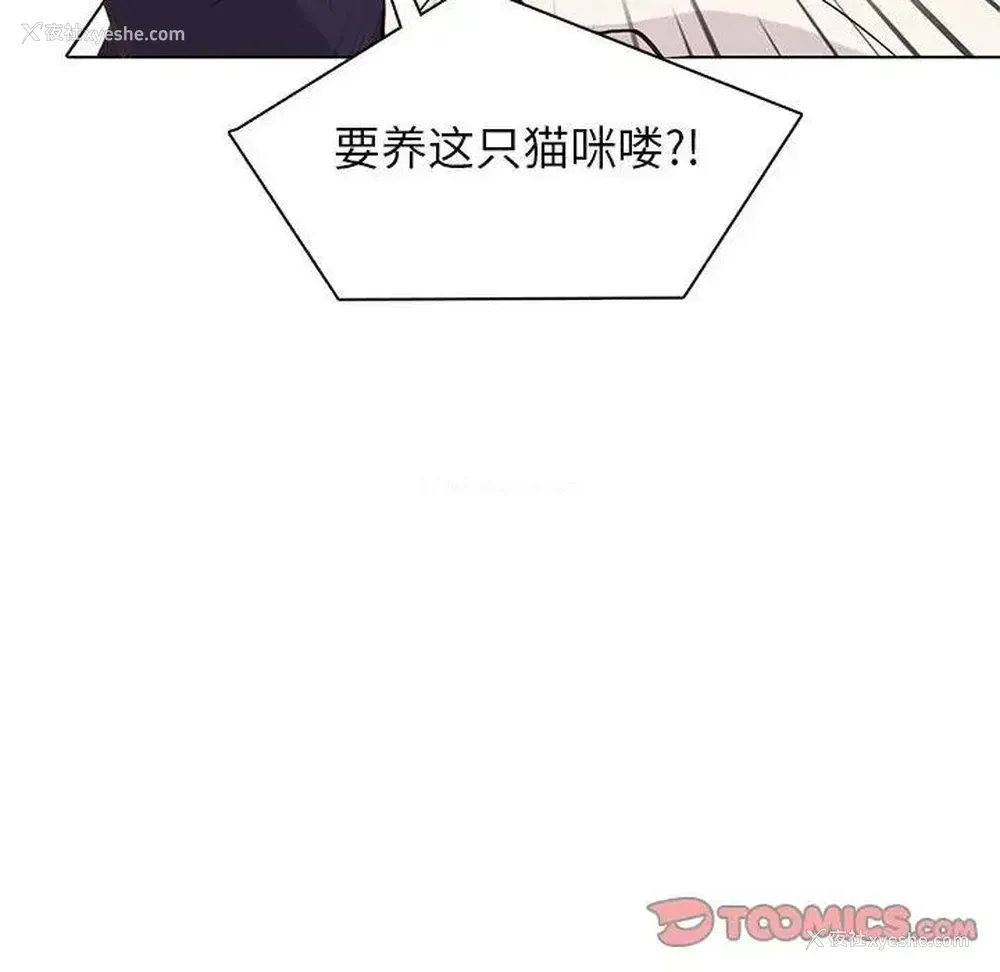 66P - 野性之城