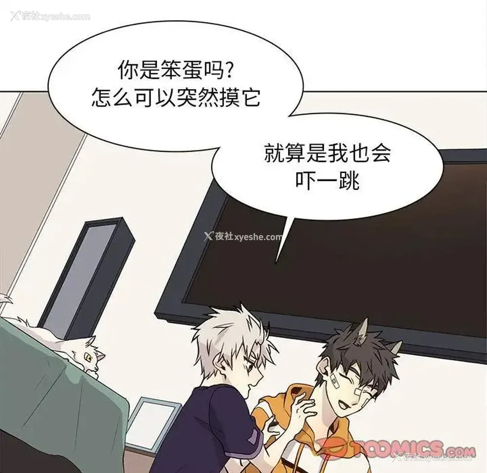 74P - 野性之城