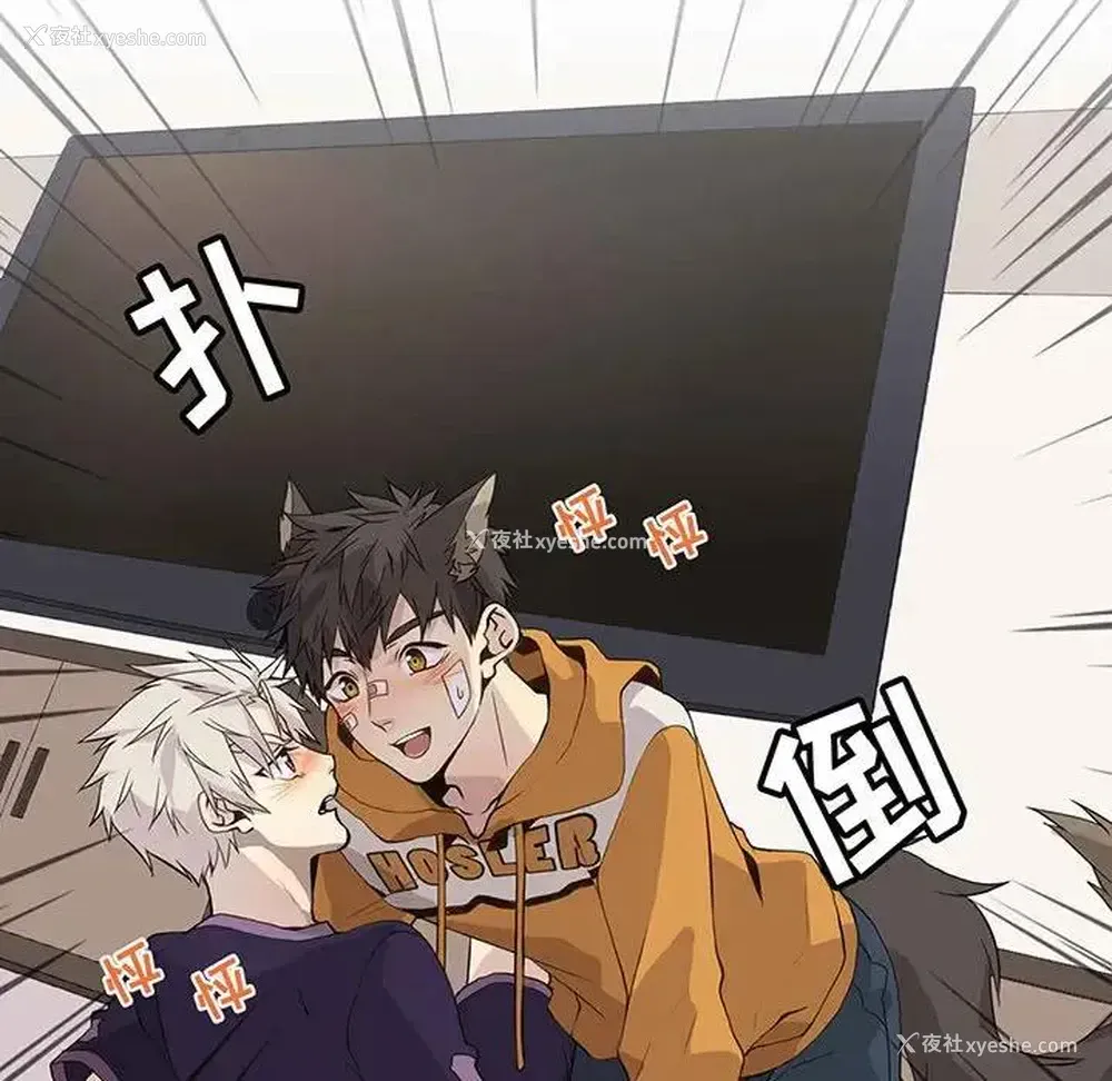 12P - 野性之城