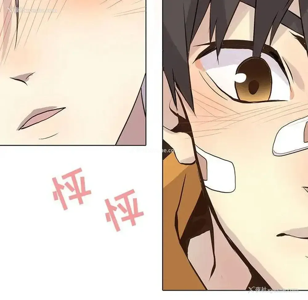 23P - 野性之城