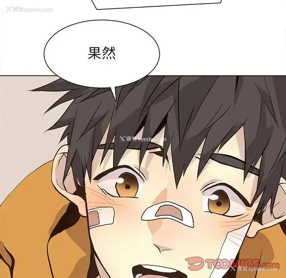 26P - 野性之城