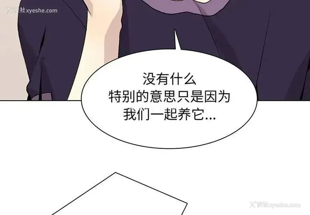 3P - 野性之城