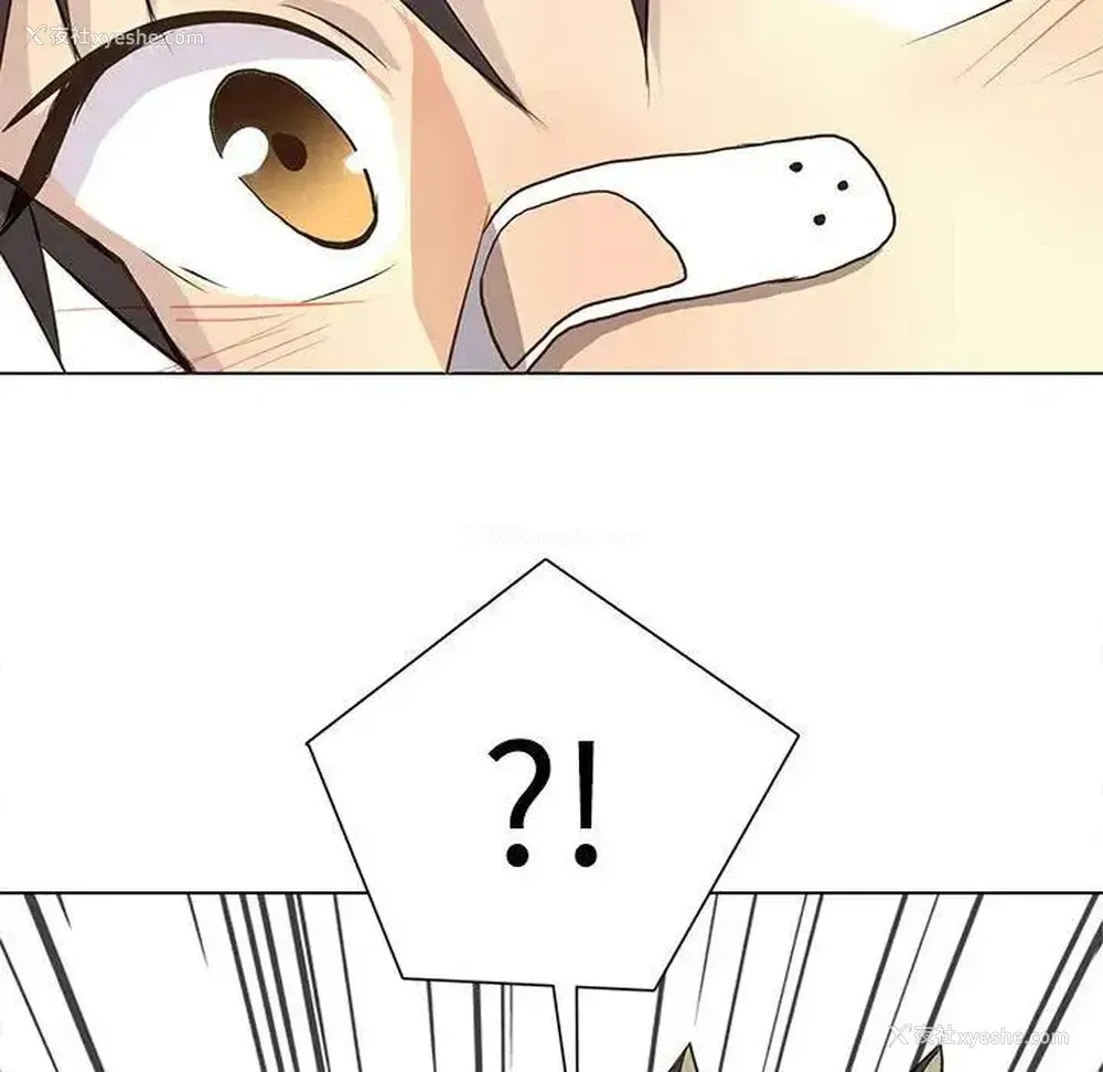 33P - 野性之城