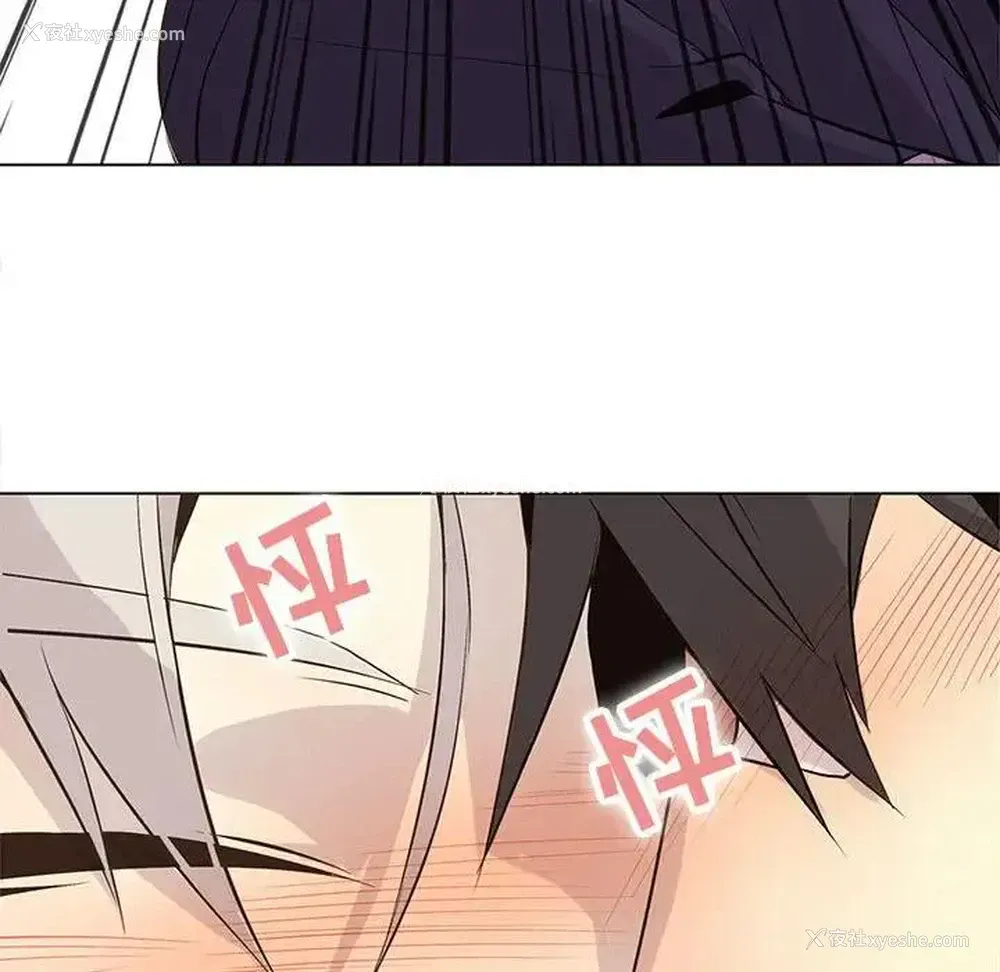 36P - 野性之城