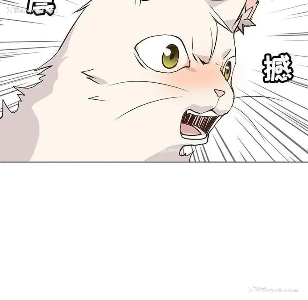 39P - 野性之城