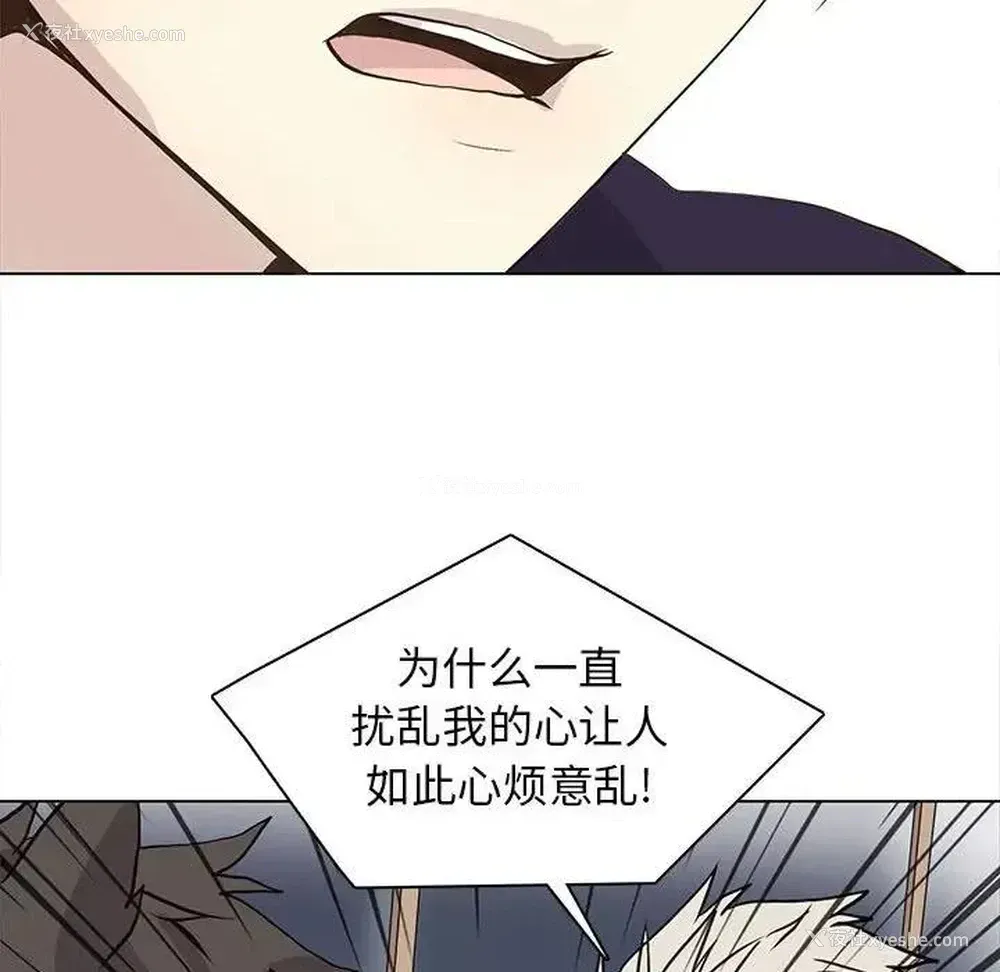 48P - 野性之城