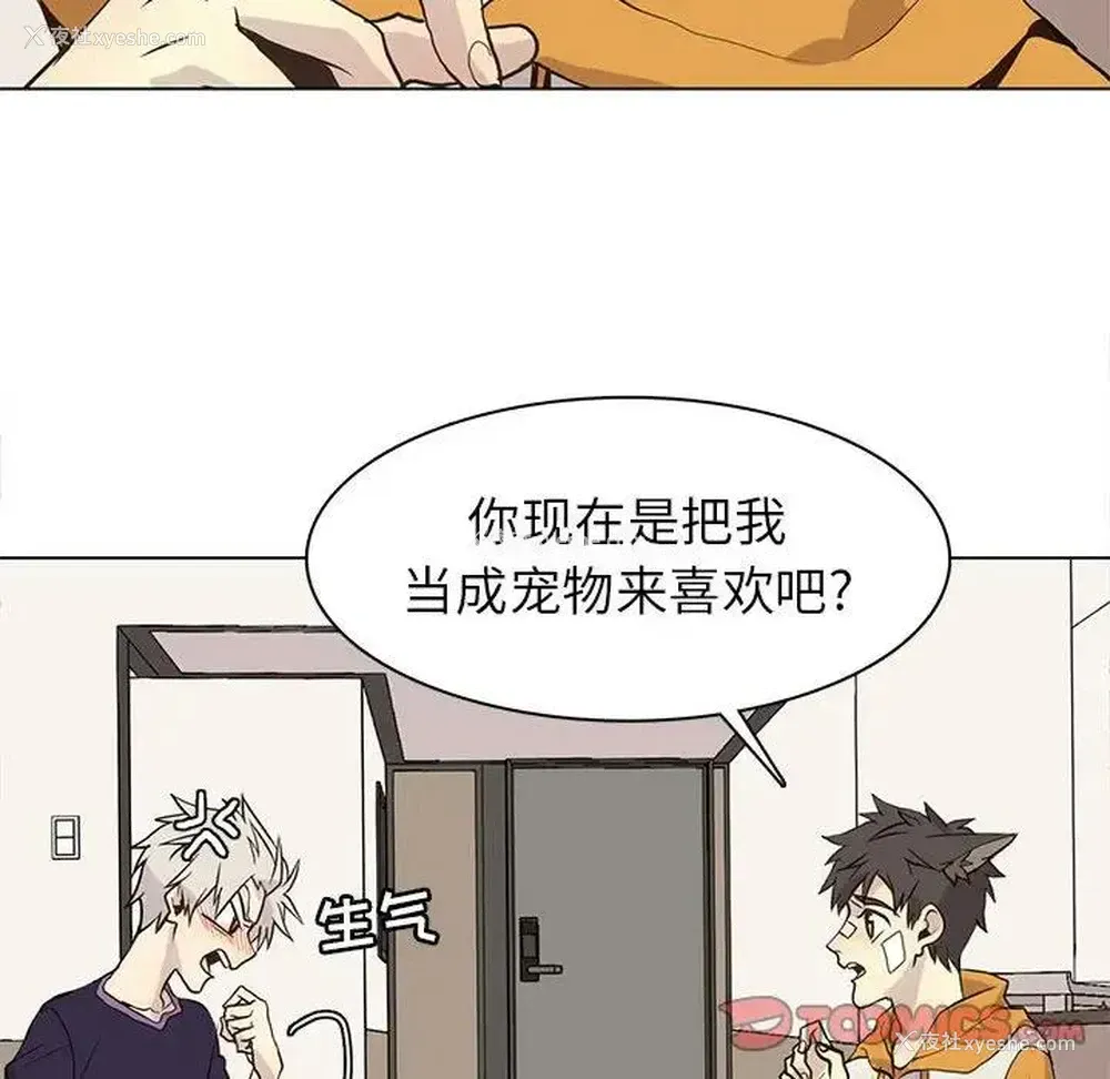 54P - 野性之城