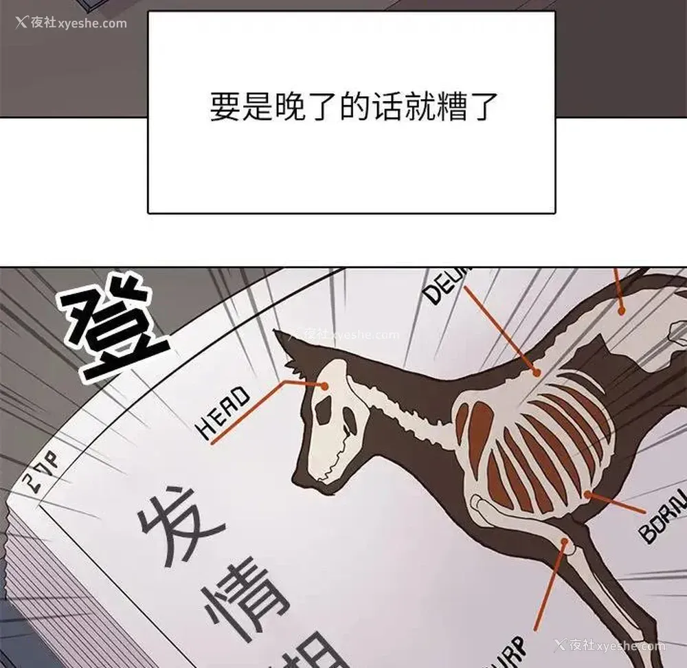 84P - 野性之城