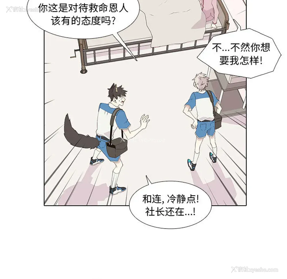15P - 野性之城