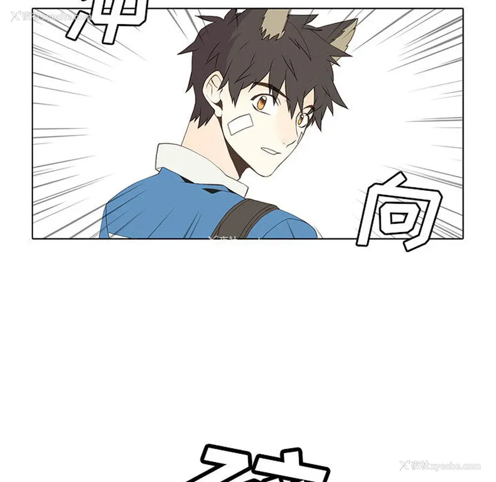 28P - 野性之城