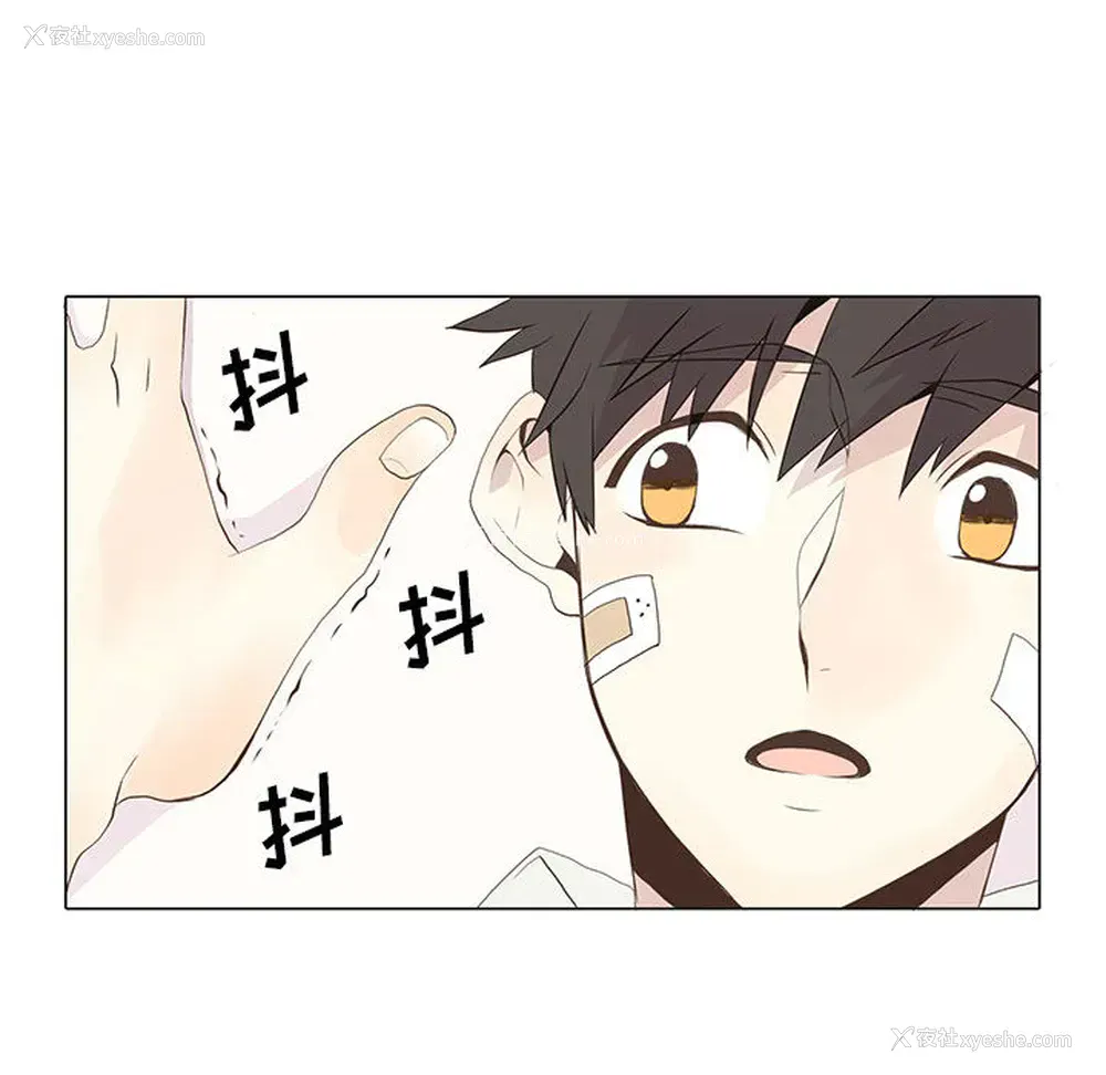 34P - 野性之城