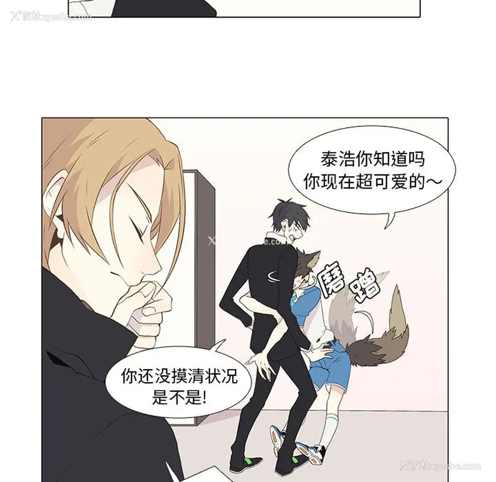 41P - 野性之城