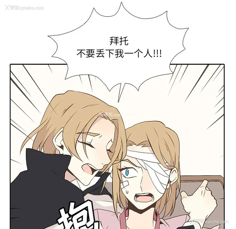 6P - 野性之城